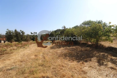 Quinta T0 para Venda em Ribamondego