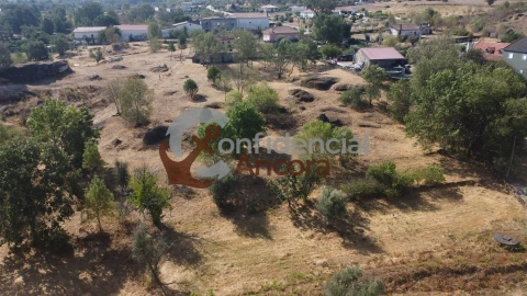 Quinta T0 para Venda em Ribamondego
