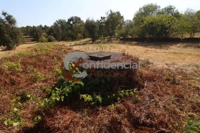 Quinta T0 para Venda em Ribamondego