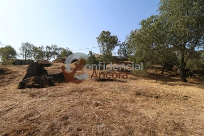 Quinta T0 para Venda em Ribamondego