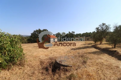Quinta T0 para Venda em Ribamondego