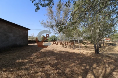 Quinta T0 para Venda em Ribamondego