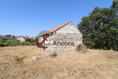 Quinta T0 para Venda em Ribamondego