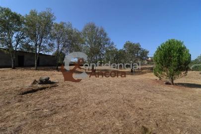 Quinta T0 para Venda em Ribamondego