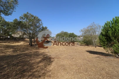 Quinta T0 para Venda em Ribamondego
