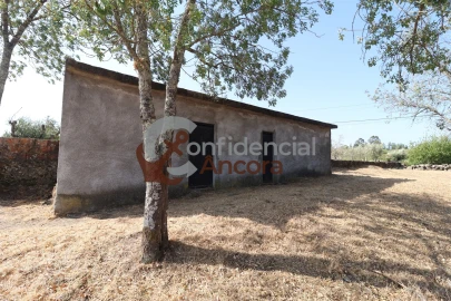 Quinta T0 para Venda em Ribamondego