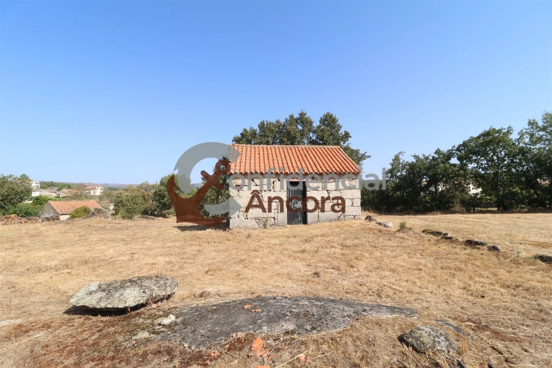 Quinta T0 para Venda em Ribamondego Foto 1