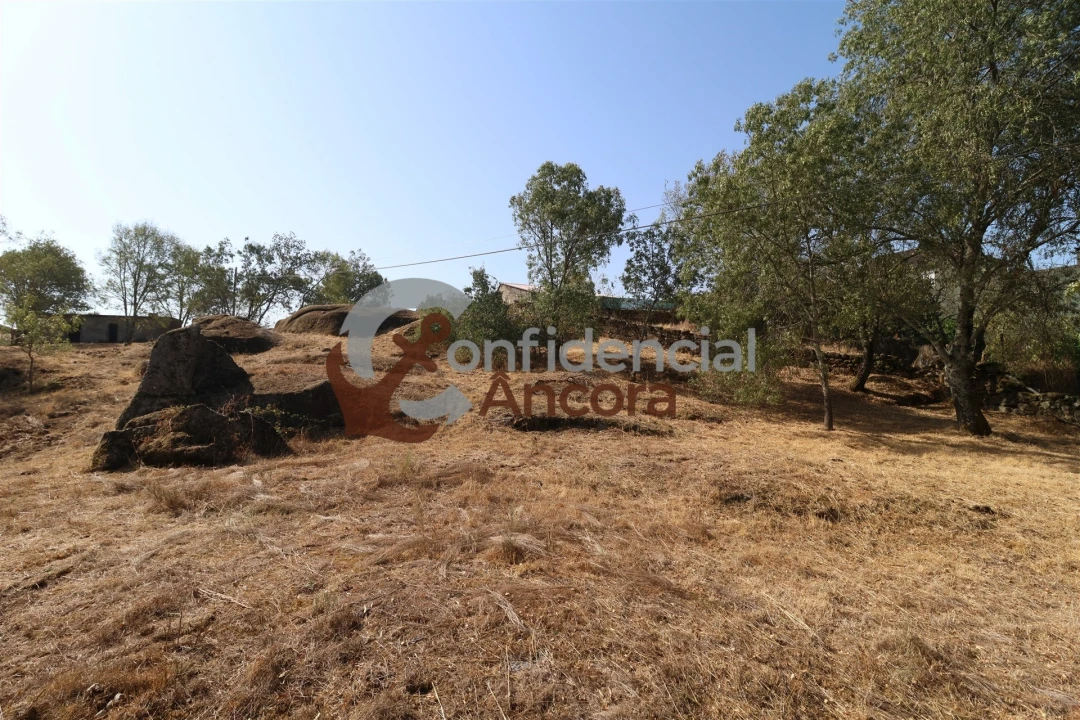 Quinta T0 para Venda em Ribamondego Foto 14