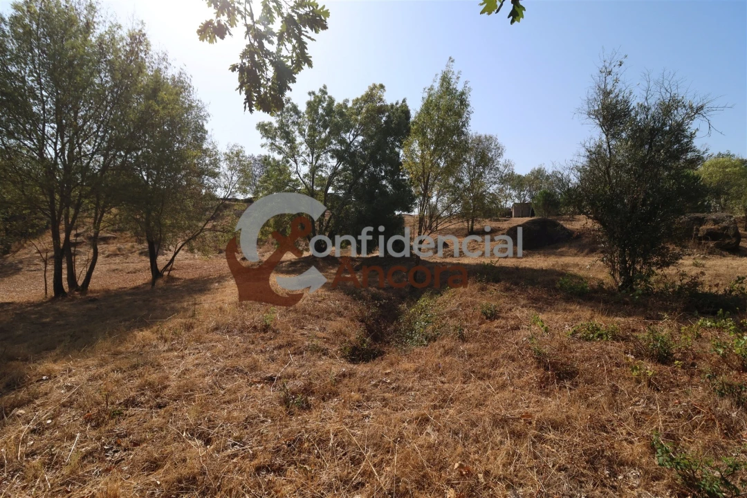 Quinta T0 para Venda em Ribamondego Foto 15