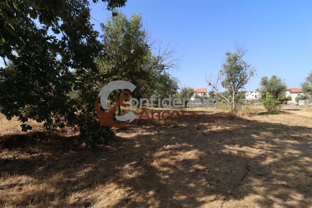 Quinta T0 para Venda em Ribamondego Foto 6