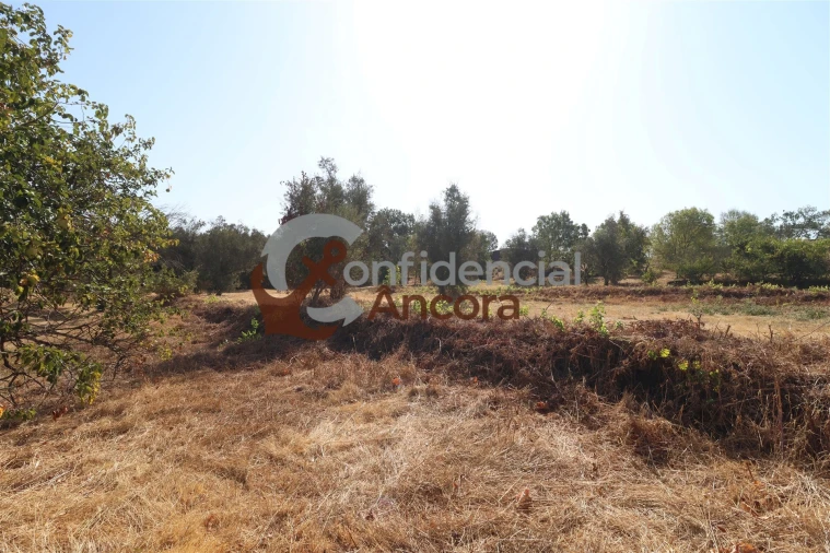 Quinta T0 para Venda em Ribamondego Foto 10