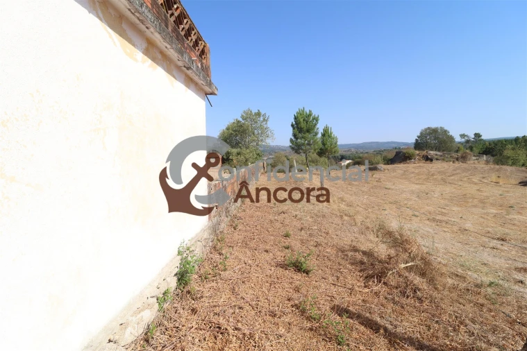 Quinta T0 para Venda em Ribamondego Foto 2