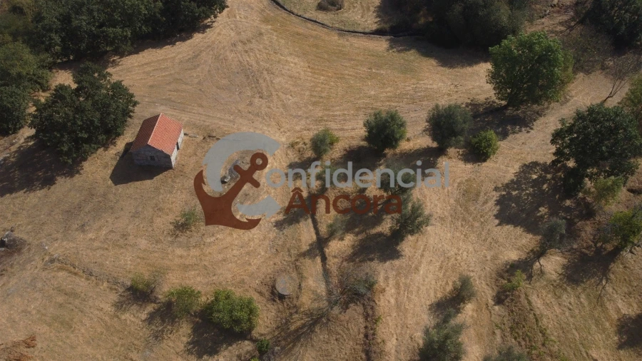 Quinta T0 para Venda em Ribamondego Foto 25