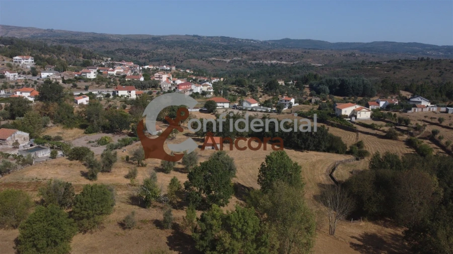 Quinta T0 para Venda em Ribamondego Foto 20