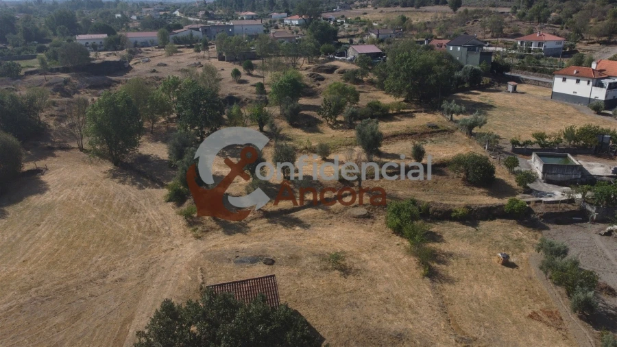 Quinta T0 para Venda em Ribamondego Foto 22