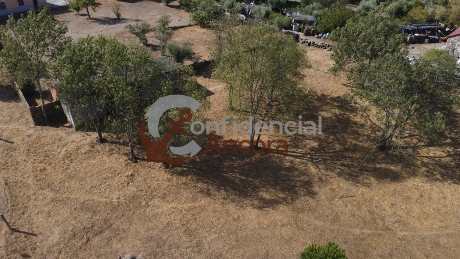 Quinta T0 para Venda em Ribamondego Foto 24