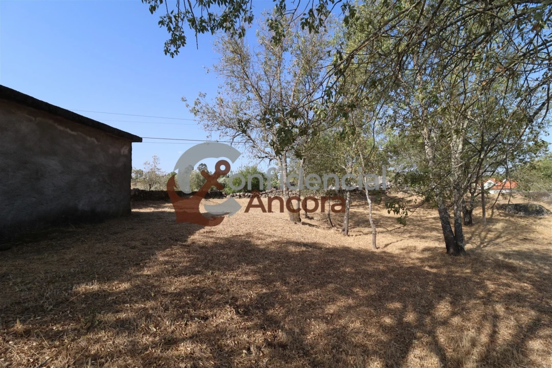 Quinta T0 para Venda em Ribamondego Foto 4
