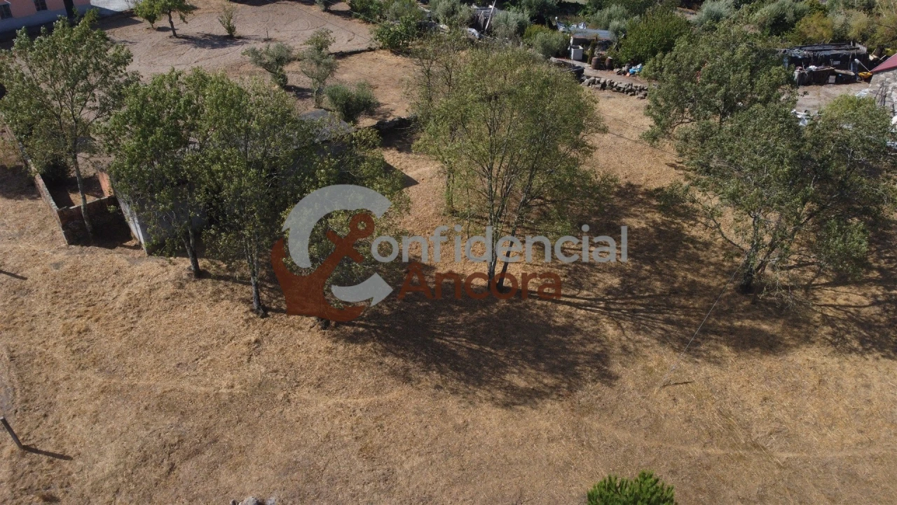 Quinta T0 para Venda em Ribamondego Foto 24