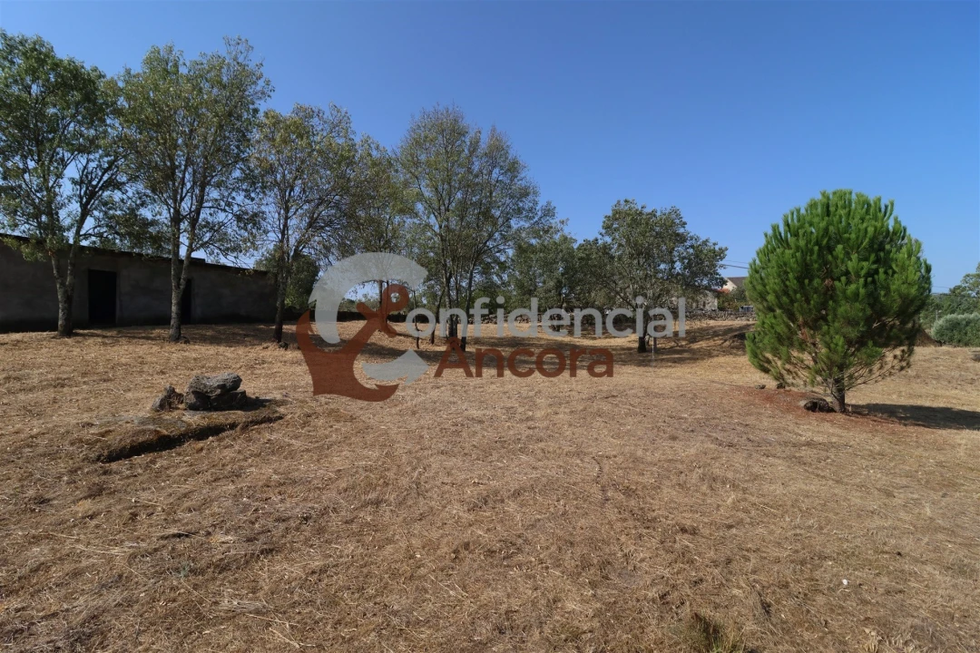 Quinta T0 para Venda em Ribamondego Foto 18