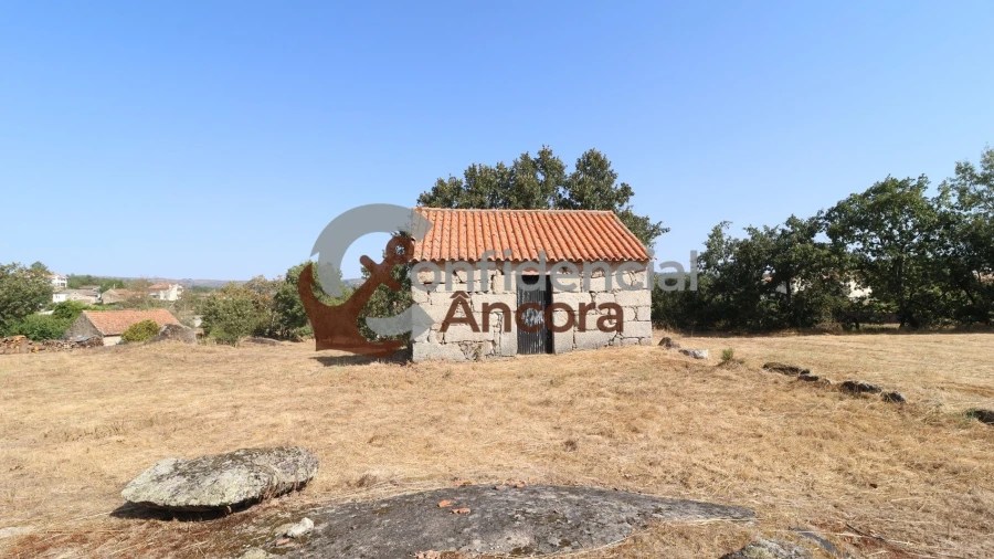 Quinta T0 para Venda em Ribamondego