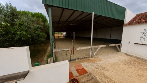 Quinta T7 para Venda em Achete, Azoia de Baixo e Póvoa de Santarém