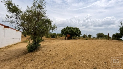 Quinta T7 para Venda em Achete, Azoia de Baixo e Póvoa de Santarém