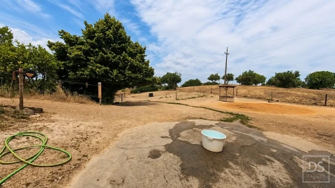 Quinta T7 para Venda em Achete, Azoia de Baixo e Póvoa de Santarém