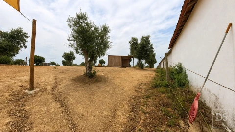 Quinta T7 para Venda em Achete, Azoia de Baixo e Póvoa de Santarém