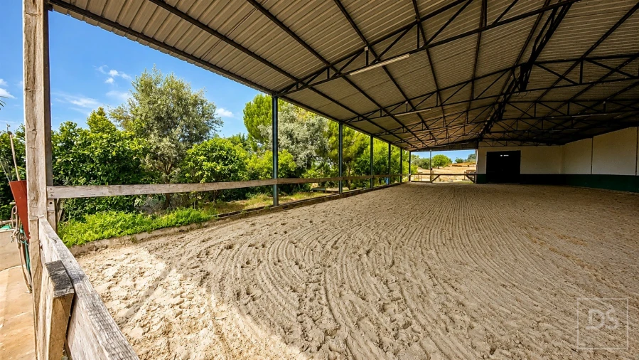 Quinta T7 para Venda em Achete, Azoia de Baixo e Póvoa de Santarém Foto 2