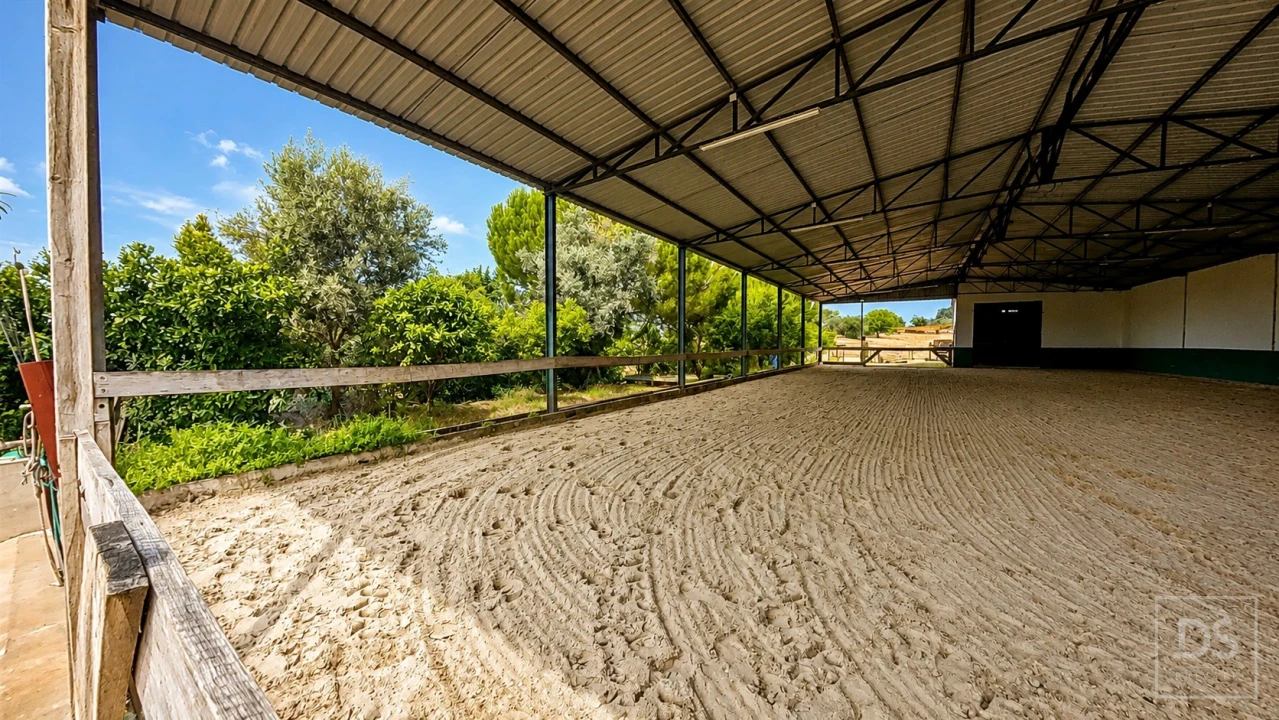 Quinta T7 para Venda em Achete, Azoia de Baixo e Póvoa de Santarém Foto 2