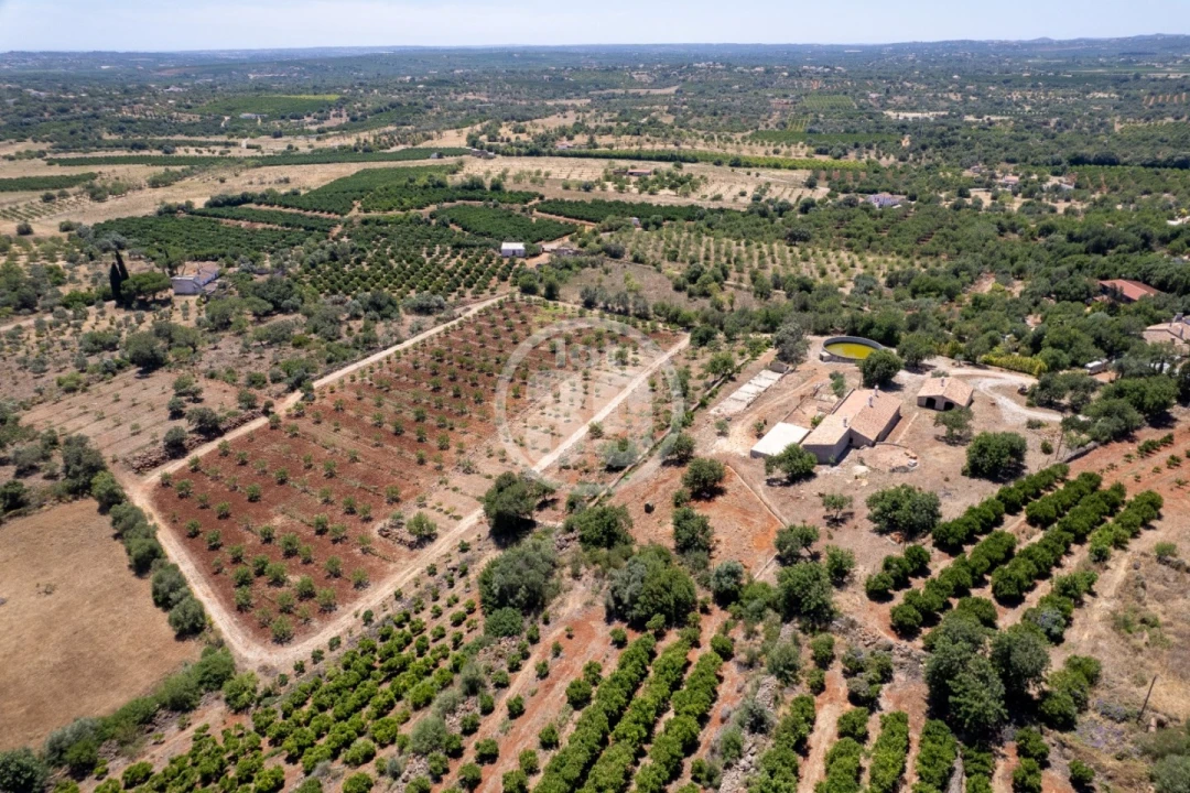 Quinta T5 para Venda em São Bartolomeu de Messines Foto 6
