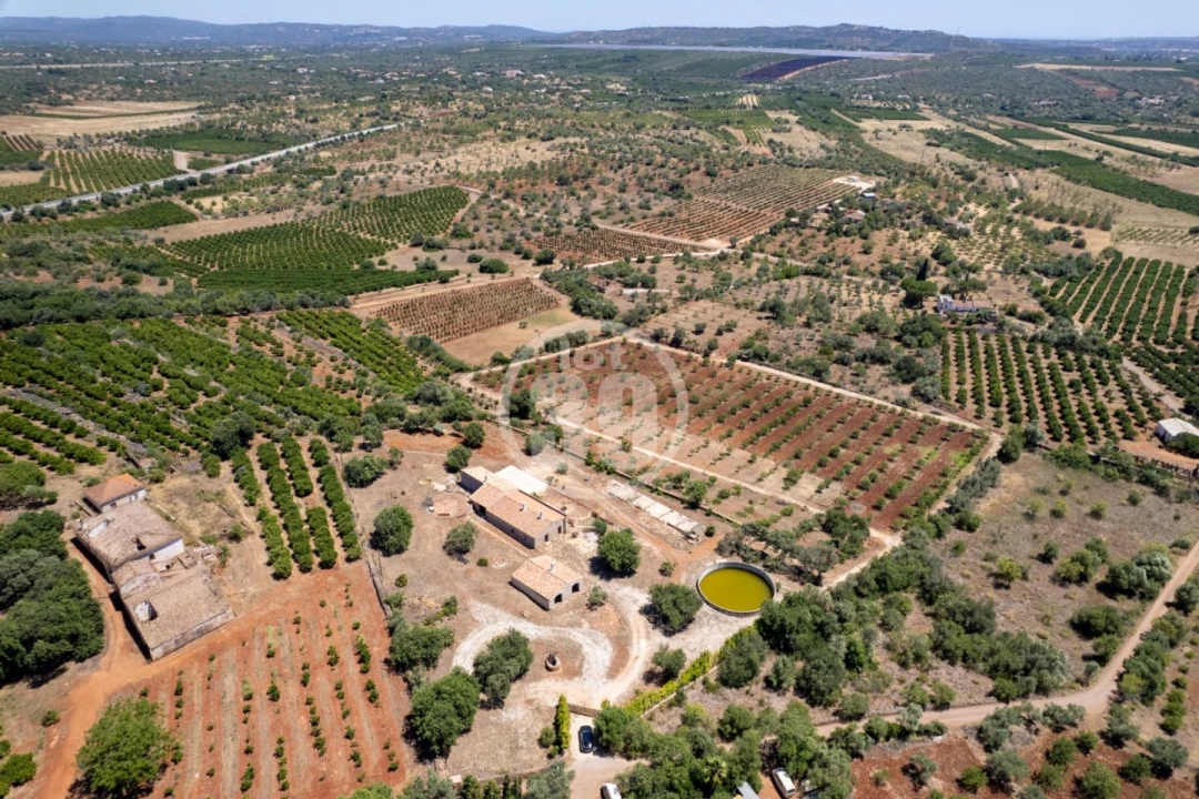 Quinta T5 para Venda em São Bartolomeu de Messines Foto 8
