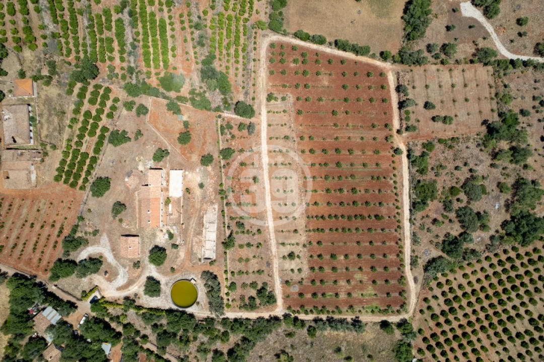 Quinta T5 para Venda em São Bartolomeu de Messines Foto 10