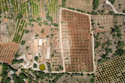 Quinta T5 para Venda em São Bartolomeu de Messines