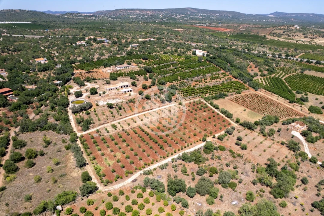 Quinta T5 para Venda em São Bartolomeu de Messines Foto 4