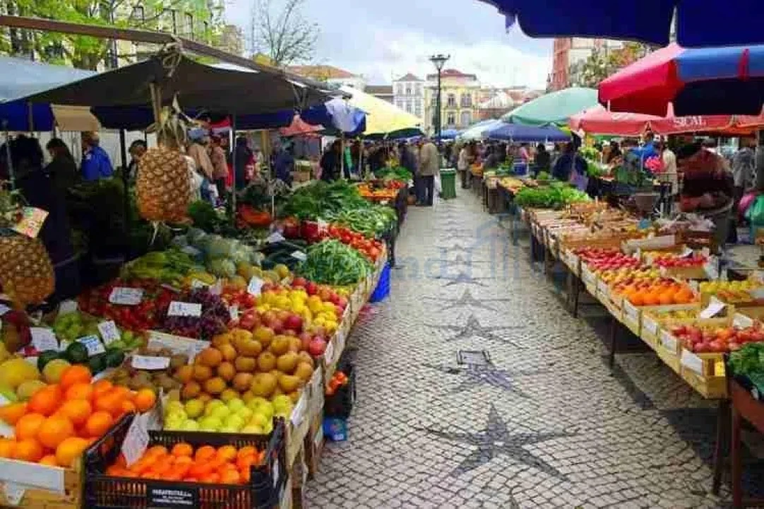 Moradia T5 para Venda em Alvorninha Foto 55