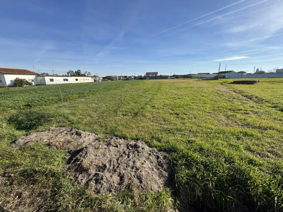 Terreno para Venda em Bom Sucesso Foto 4