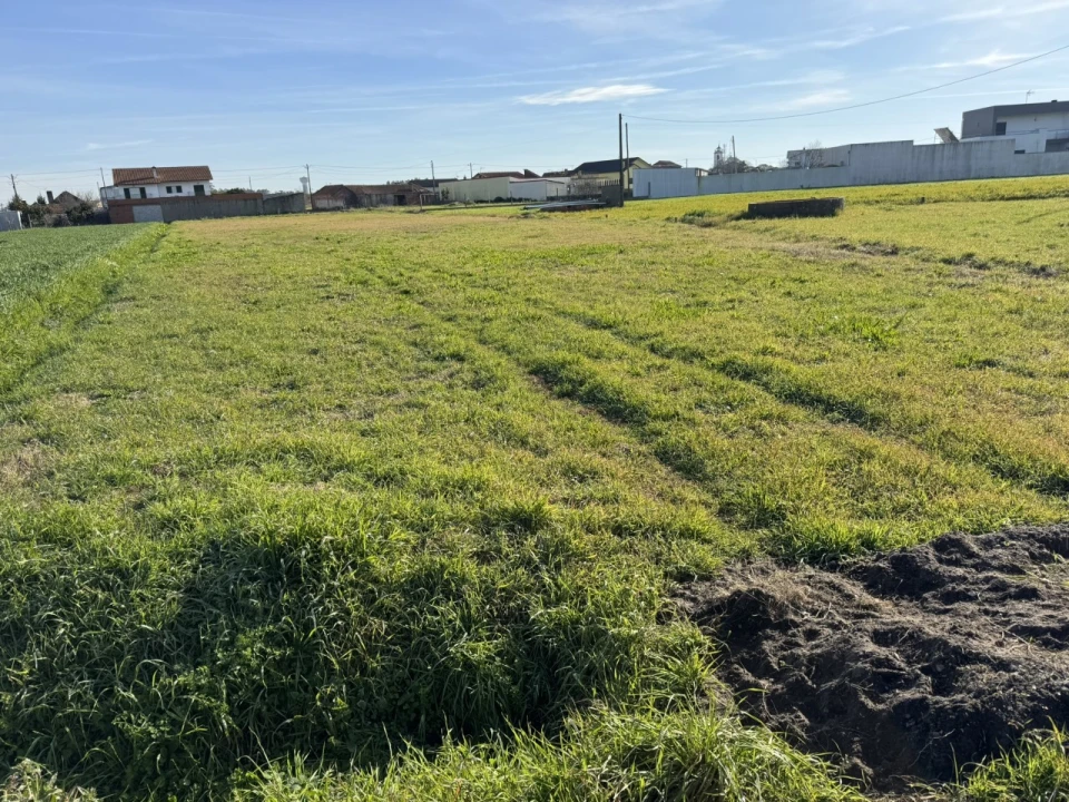 Terreno para Venda em Bom Sucesso Foto 5