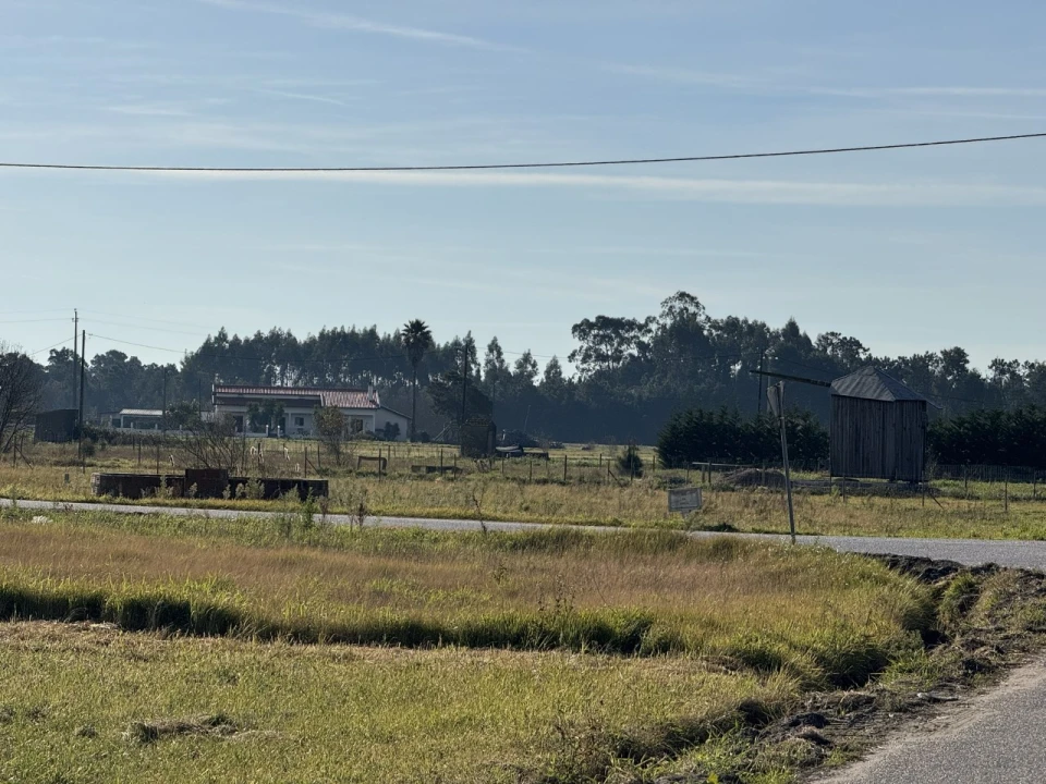 Terreno para Venda em Bom Sucesso Foto 9