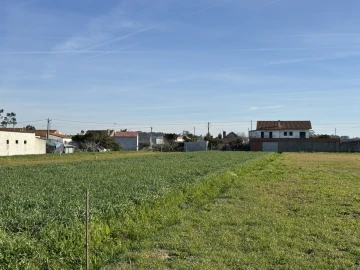 Terreno para Venda em Bom Sucesso