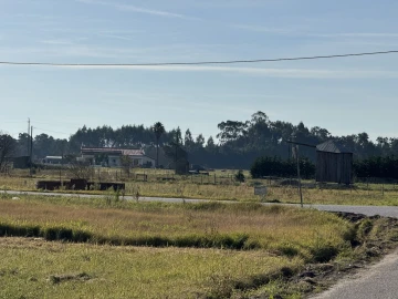 Terreno para Venda em Bom Sucesso