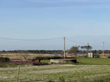 Terreno para Venda em Bom Sucesso