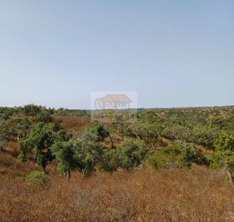 Negócio para Venda em São Francisco da Serra Foto 6