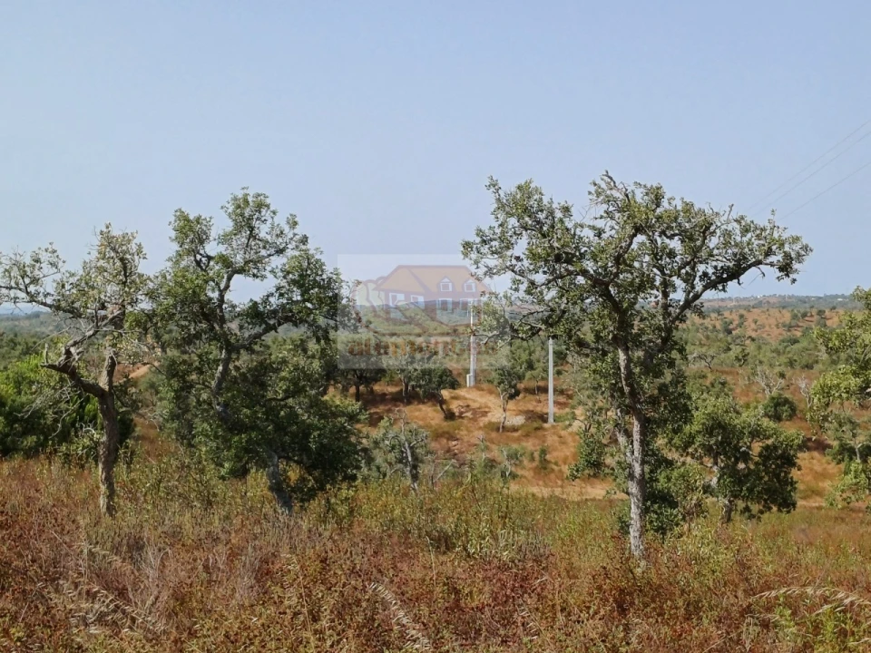 Negócio para Venda em São Francisco da Serra Foto 10
