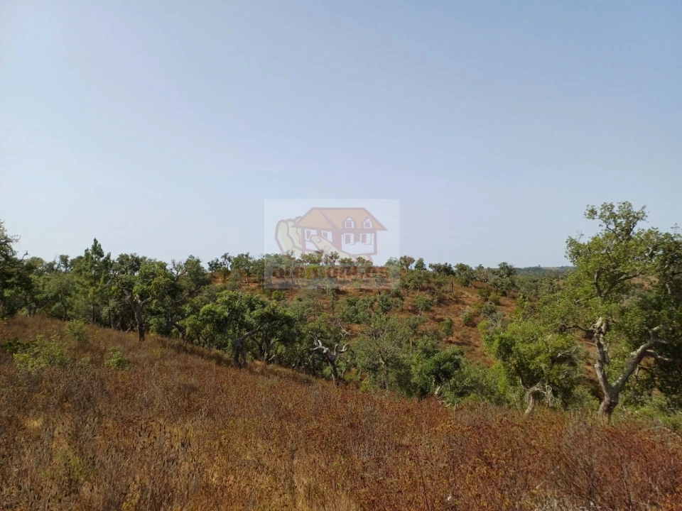 Negócio para Venda em São Francisco da Serra Foto 11