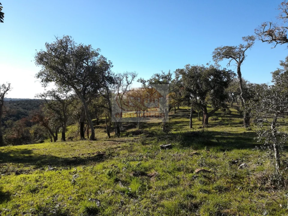 Negócio para Venda em São Francisco da Serra Foto 4