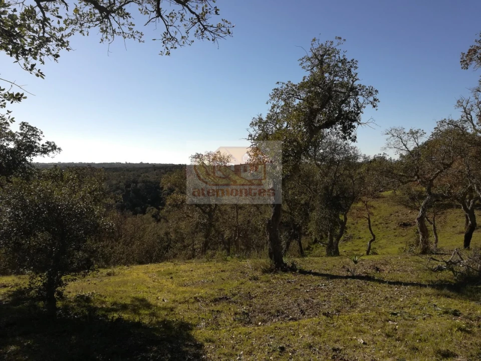 Negócio para Venda em São Francisco da Serra Foto 14