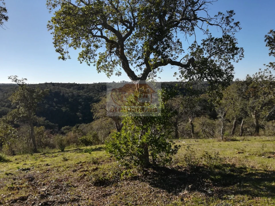 Negócio para Venda em São Francisco da Serra Foto 15