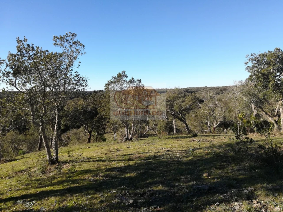 Negócio para Venda em São Francisco da Serra Foto 2