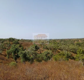 Negócio para Venda em São Francisco da Serra